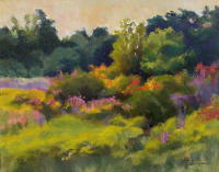 Rock Meadow Wildflowers. 11 x 14